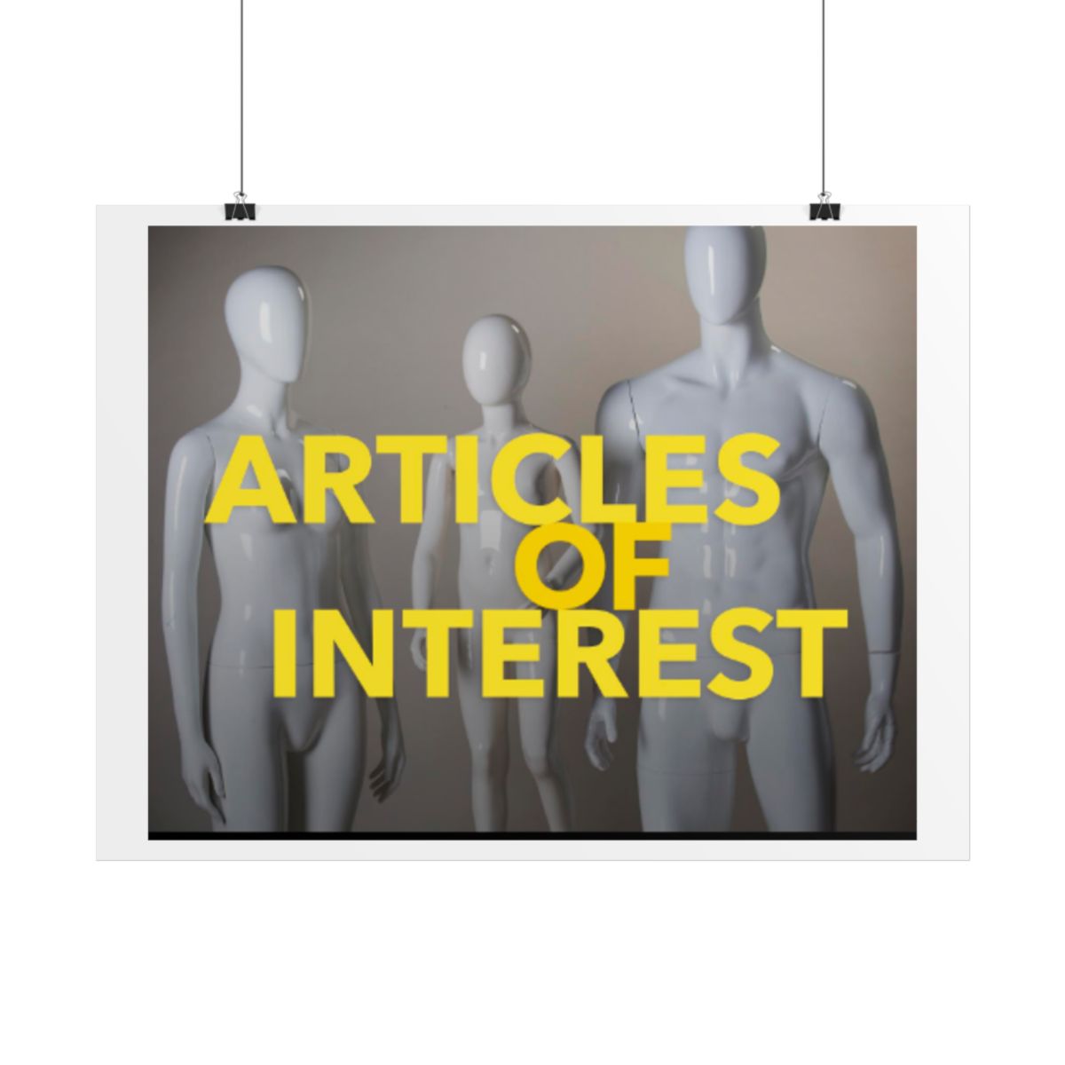Articles of Interest Rolled Poster #2 - alternate angle 2, merchandise