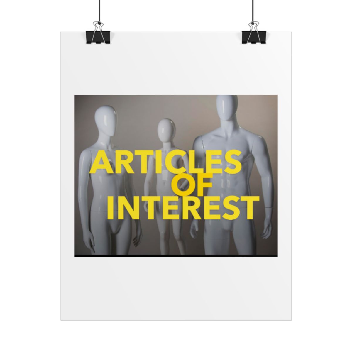 Articles of Interest Rolled Poster #2 - alternate angle 5, merchandise
